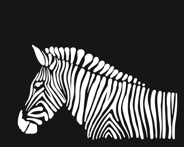 Zebra, sketch for your design — Stock Vector