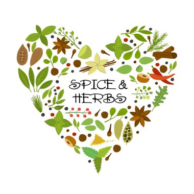 Tasarımın için baharat dükkanı, bitki ve baharat koleksiyonu