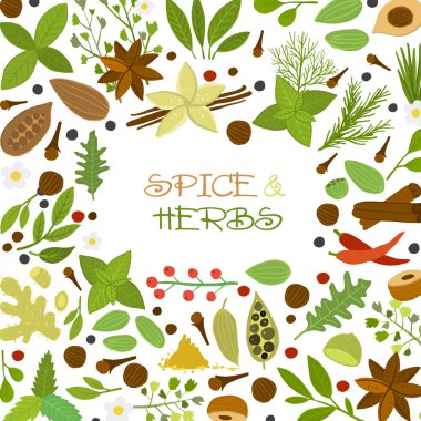 Bitkiler ve baharatlar arka planda, tasarımınız için kusursuz desen