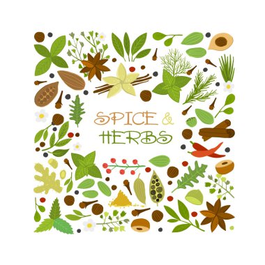 Tasarımın için baharat dükkanı, bitki ve baharat koleksiyonu