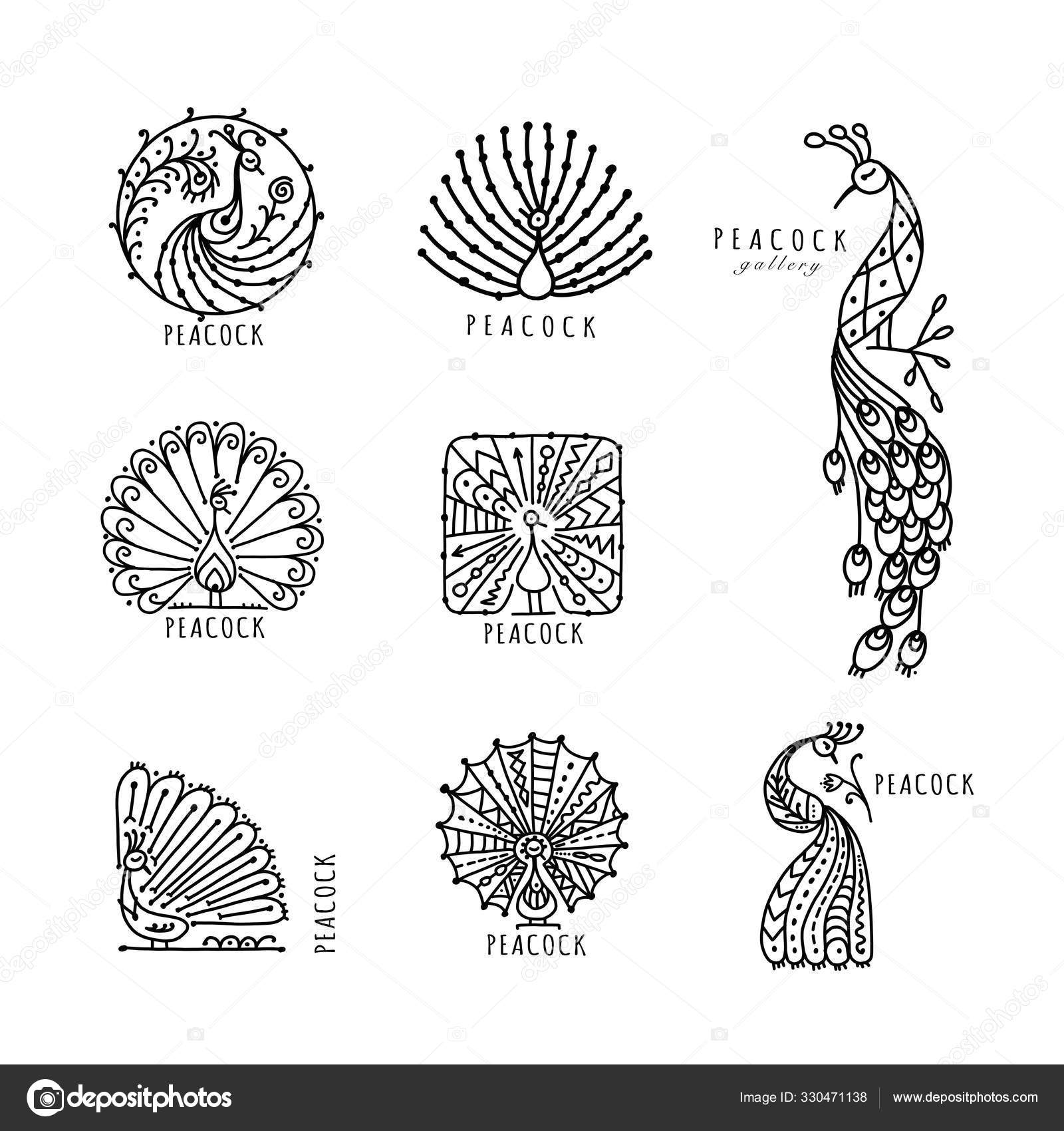 Peacock line art design with beautiful henna design black and posters for  the wall  posters wildlife wild white  myloviewcom