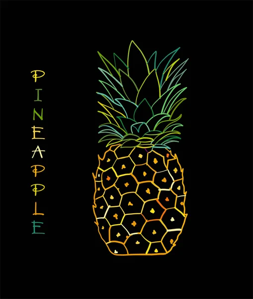 Pineapple colorful, sketch for your design — Stock Vector