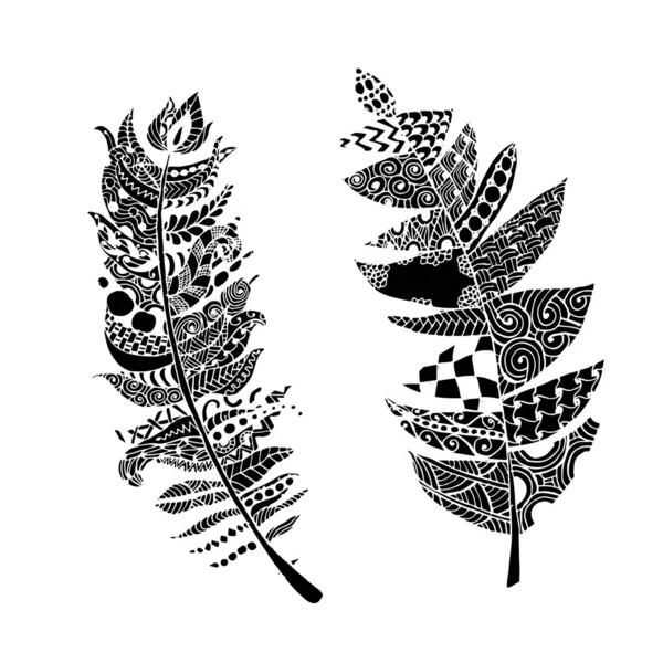 Plumes d'art, style zentangle pour votre design — Image vectorielle