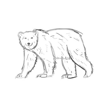 Polar Bear, sketch isolated on white background vector Polar Bear, sketch isolated on white background vector