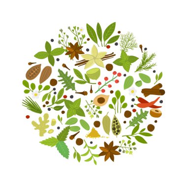 Tasarımın için baharat dükkanı, bitki ve baharat koleksiyonu