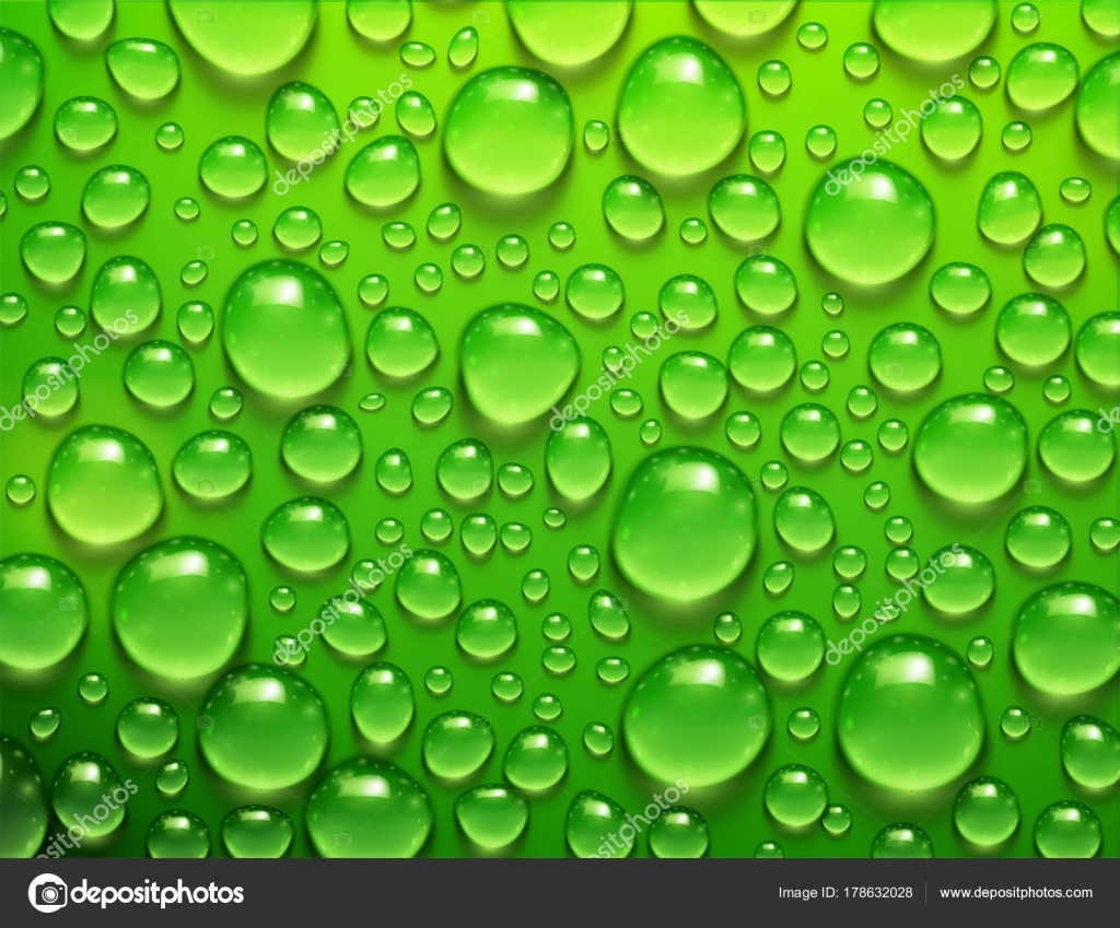 Water drops on green background ⬇ Vector Image by © ladyann | Vector ...