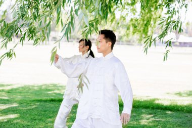 İnsanlar Park Thai chi