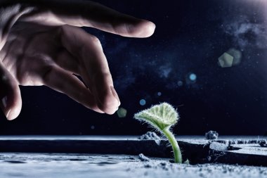 Ay'da yaşam var mı. Karışık teknik