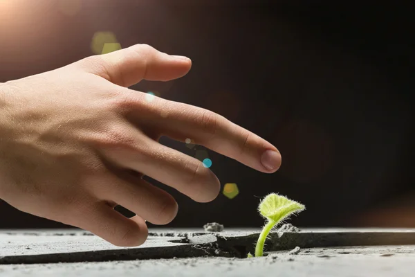 Gibt es Leben auf dem Mond? — Stockfoto