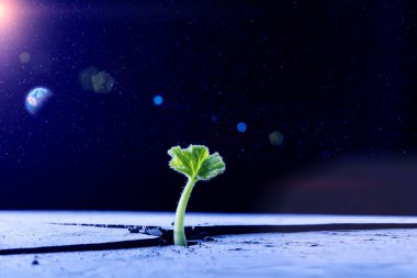 Ay'da yaşam var mı. Karışık teknik