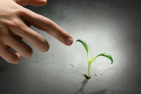 ¿Hay vida en la luna? — Foto de Stock