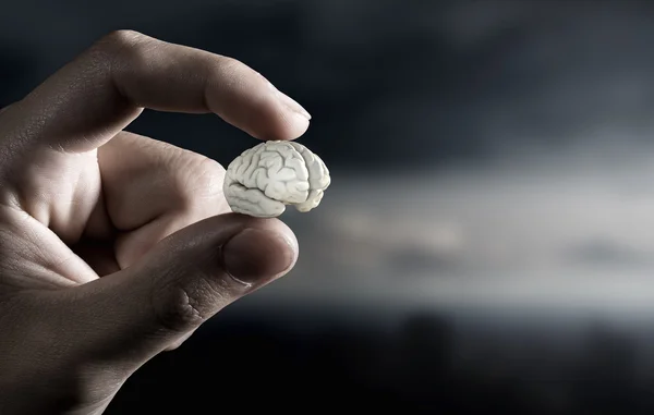 指の間の小さな脳。ミクスト メディア — ストック写真