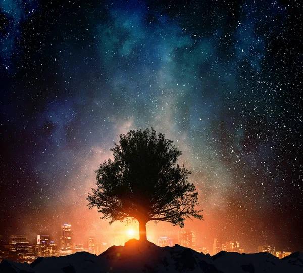 Sternenklare Nacht und Baum. Gemischte Medien — Stockfoto