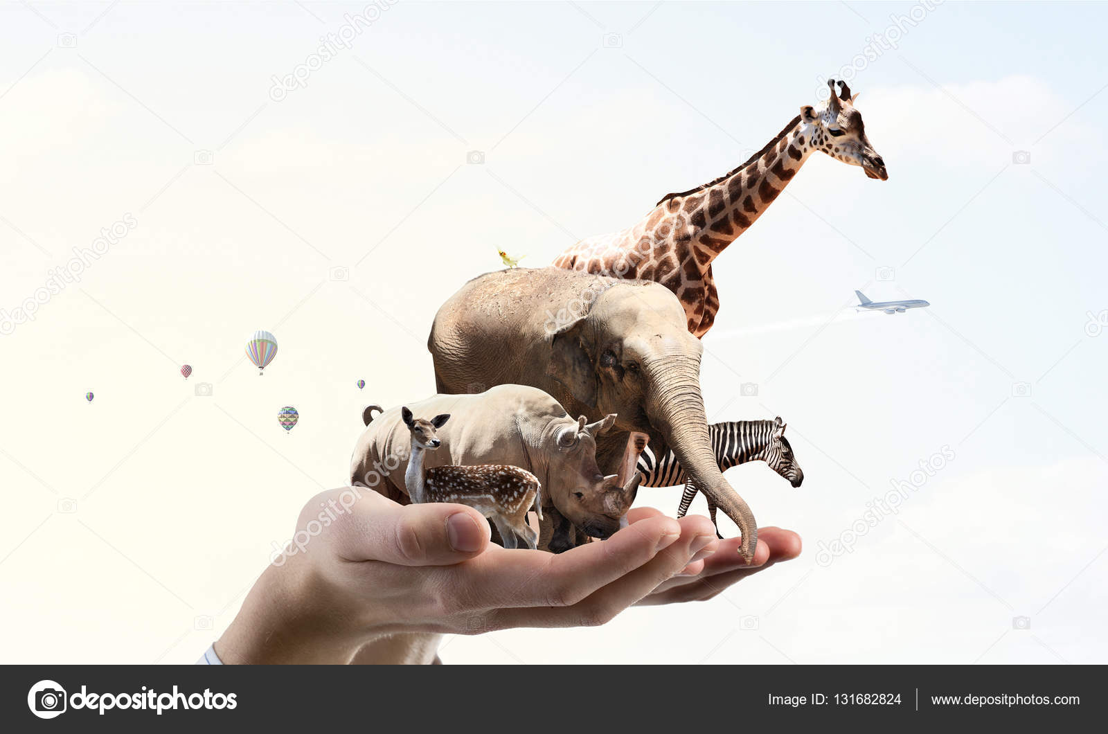 Zoo animal group Stock Photos, Royalty Free Zoo animal group Images | Depositphotos Zoo animal group Stock Photos, Royalty Free Zoo animal group Images | Depositphotos