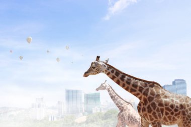 Güç ve liderlik kavramı. Karışık teknik