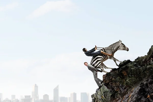 Geschäftsfrau reitet Zebra. Gemischte Medien — Stockfoto