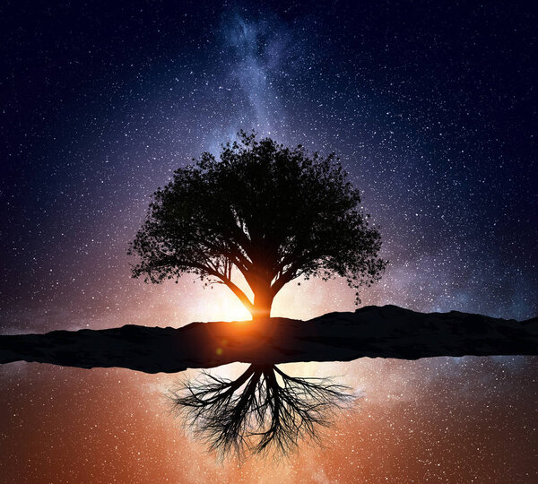 Background image with silhouette of tree on starry sky