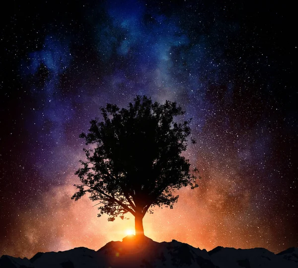 Starry night and tree . Mixed media — Stock Photo, Image