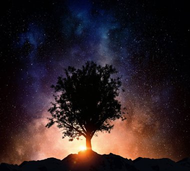 Yıldızlı gece ve ağaç. Karışık teknik