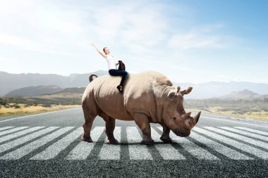 İşkadını binme gergedan. Karışık teknik