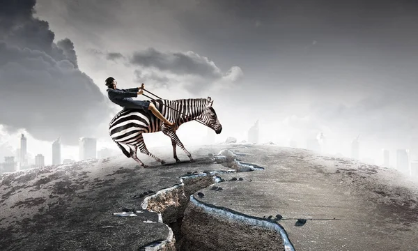 Affärskvinna ride zebra. Mixed media — Stockfoto