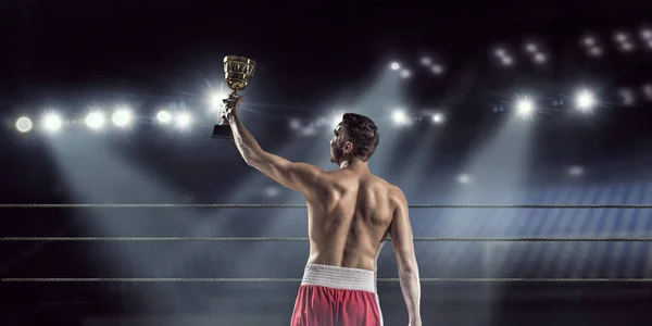 He will be a champion . Mixed media — Stock Photo, Image