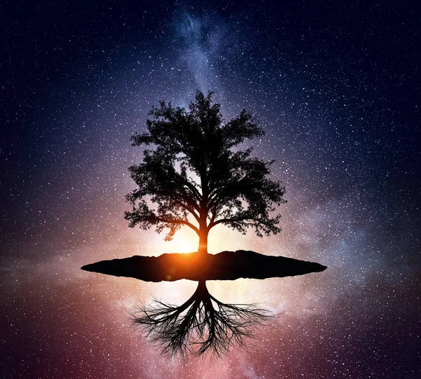 Starry night and tree . Mixed media — Stock Photo, Image