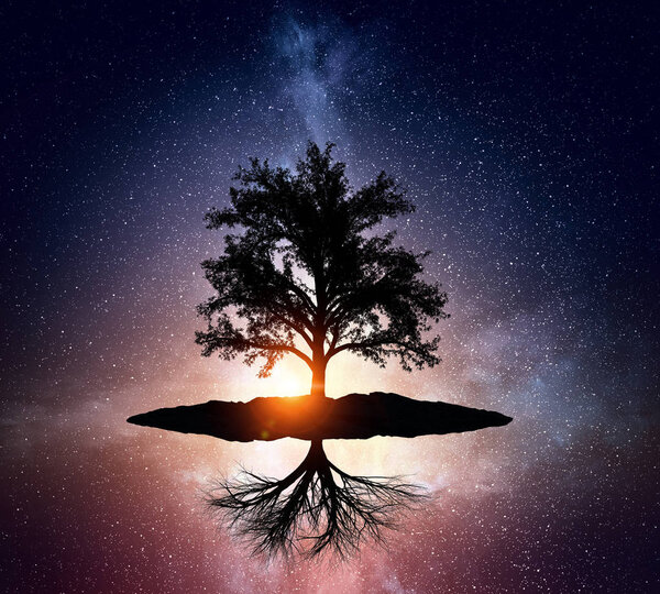 Background image with silhouette of tree on starry sky