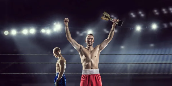 Professionell box mästare. Mixed media. Mixed media — Stockfoto