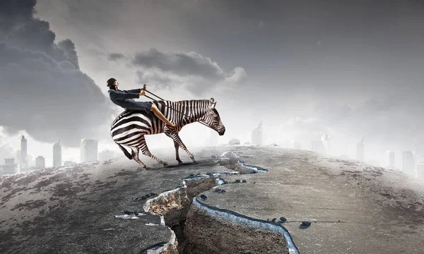 Podnikatelka ride zebra. Kombinovaná technika — Stock fotografie