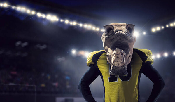 Furious rhinos team . Mixed media