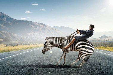 İşkadını binmek zebra. Karışık teknik