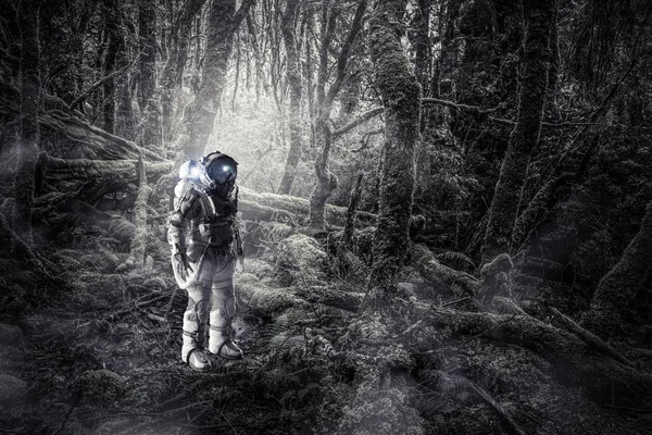 Астронавт в лесу. Смешанные медиа — стоковое фото