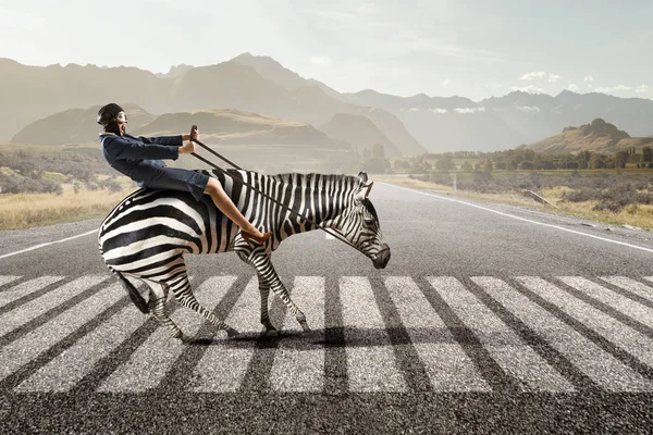 Businesswoman ride zebra . Mixed media — Stock Photo, Image