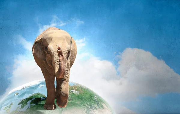 Elephant on globe . Mixed media — Stock Photo, Image