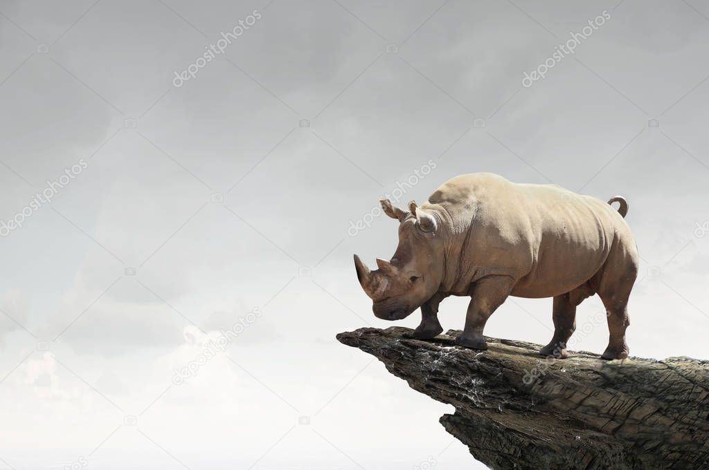 Rhino on rock top . Mixed media