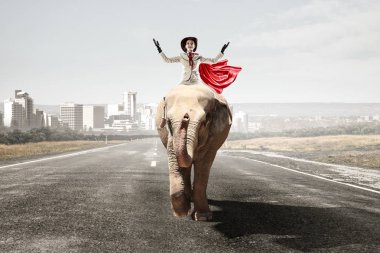 İşkadını binme fil. Karma ortam. Karışık teknik