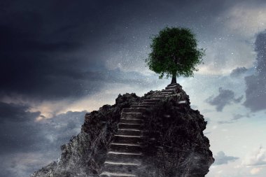 Çevre koruma ve insanlık. Karma ortam. Karışık teknik