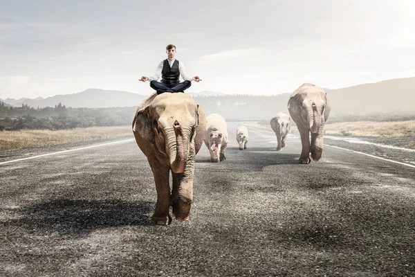 Il possède la force et la puissance des animaux. Techniques mixtes — Photo