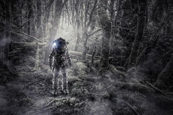 Astronauta en el bosque. Medios mixtos — Foto de Stock