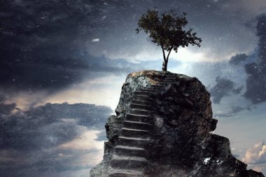 Çevre koruma ve insanlık. Karışık teknik