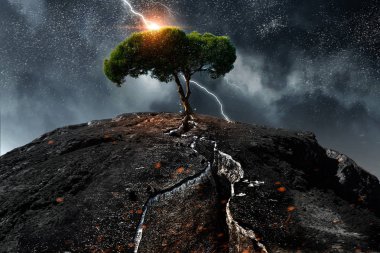 Çevre koruma ve insanlık. Karışık teknik