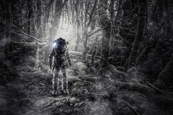 Астронавт в лесу — стоковое фото