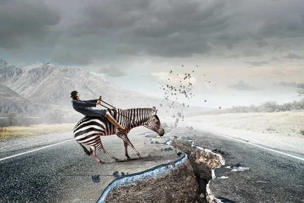 Üzletasszony ride zebra — Stock Fotó