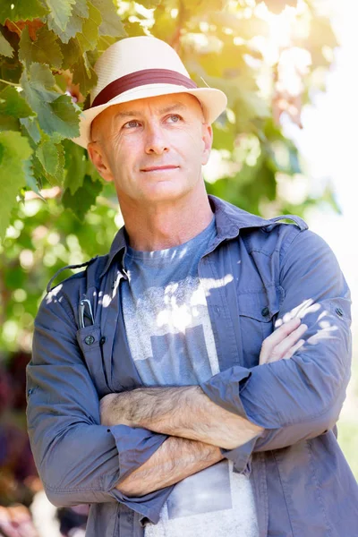 Homme debout dans la vigne — Photo