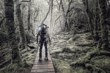 Ormandaki astronot. Karışık teknik