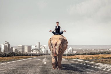 O hayvan güç ve güç sahiptir. Karışık teknik