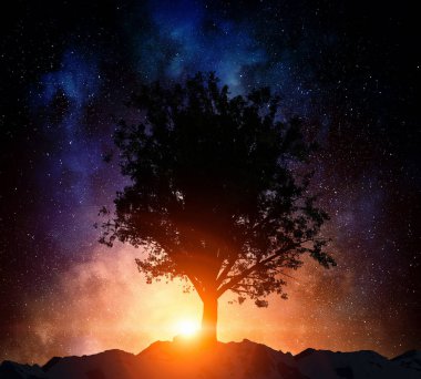 Yıldızlı gökyüzü manzara