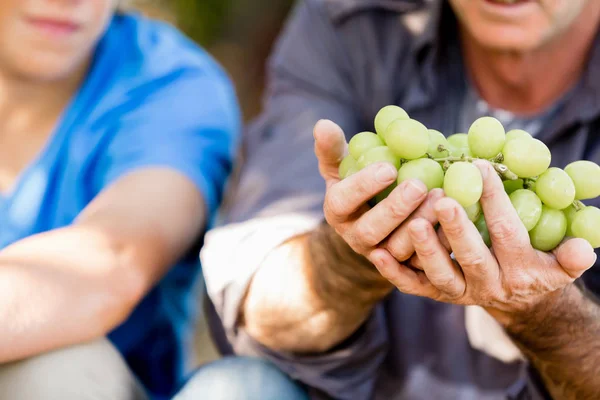 Père et fils dans la vigne — Photo