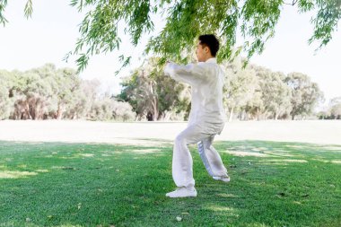 Yakışıklı adam Thai Chi yapıyor.